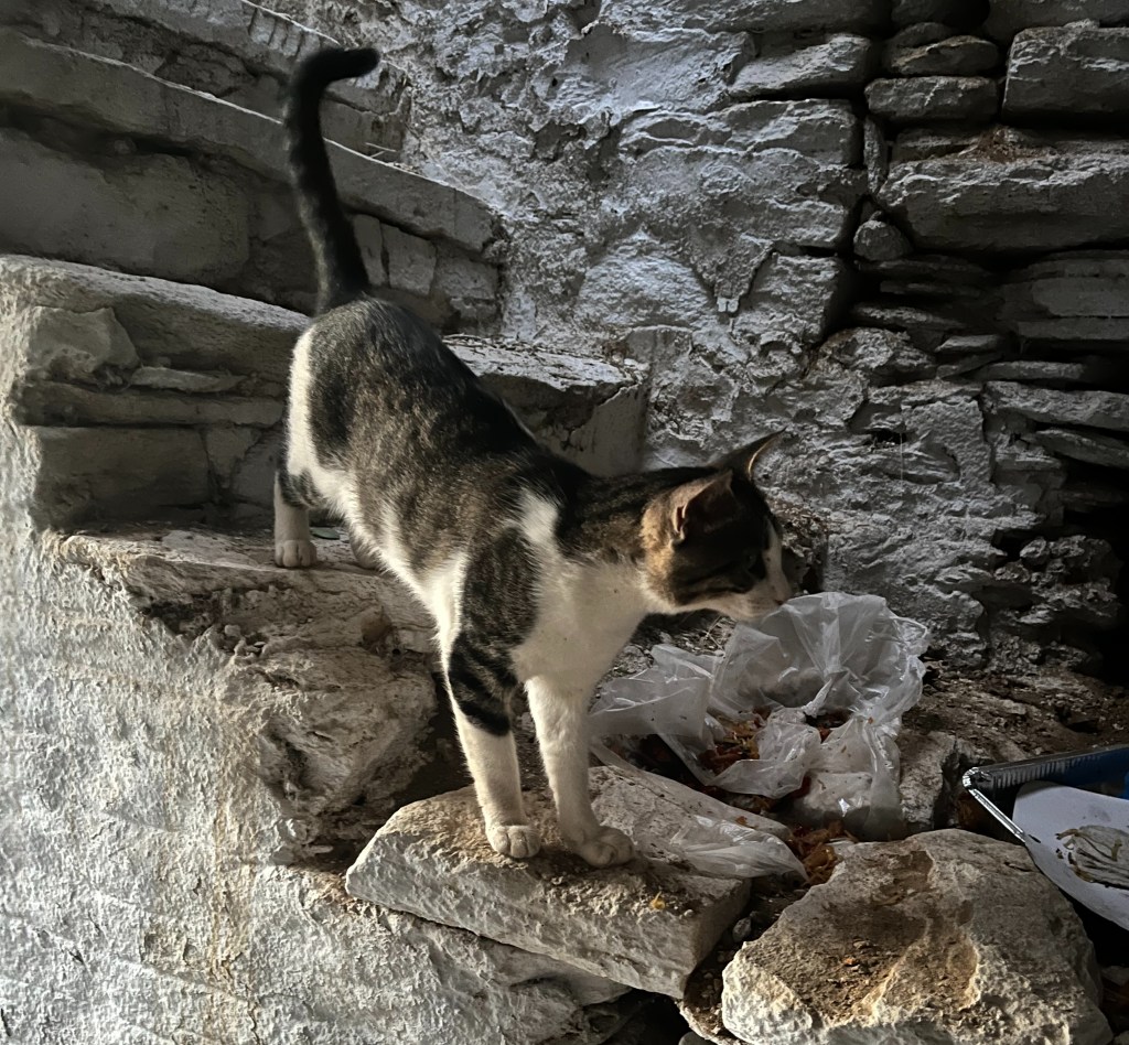 Navigating Discomfort: The Path to Inner Peace Beyond&nbsp;Comfort