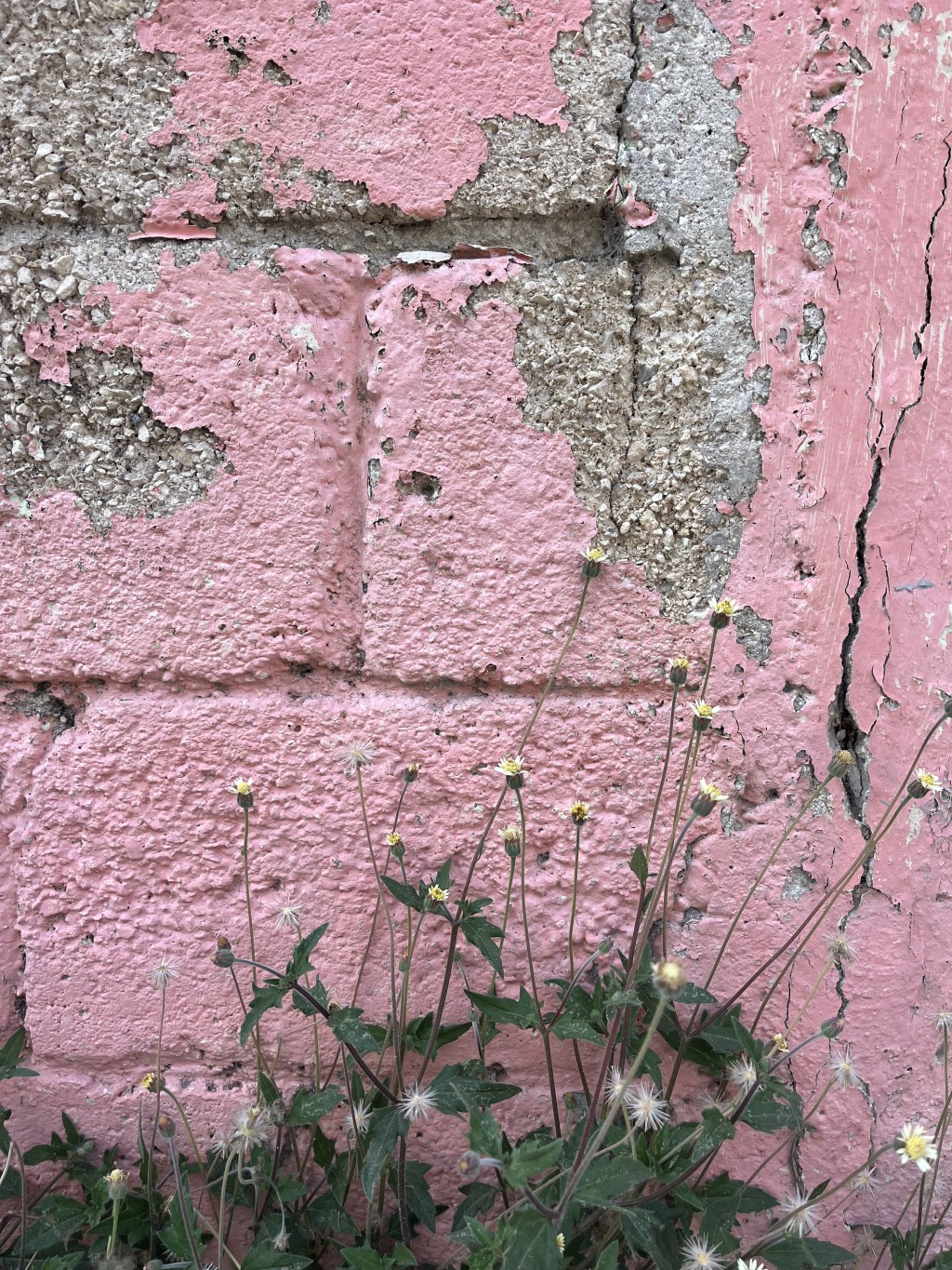 Starting Ugly: The Path to Creativity, Balance, and&nbsp;Progress